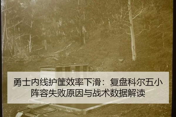 yong-shi-nei-xian-hu-kuang-xiao-lv-xia-hua-fu-pan-ke-er-wu-xiao-zhen-rong-shi-bai-yuan-yin-yu-zhan-shu-shu-ju-jie-du-2-309.jpg