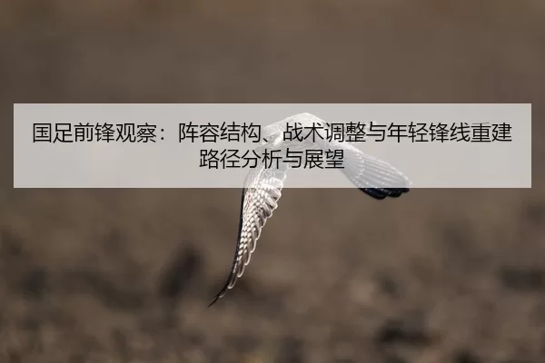 国足前锋观察：阵容结构、战术调整与年轻锋线重建路径分析与展望