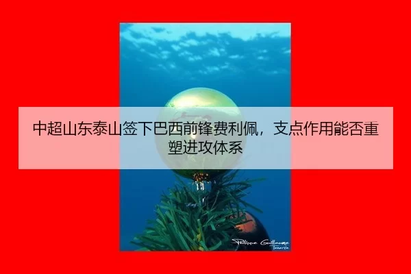 中超山东泰山签下巴西前锋费利佩，支点作用能否重塑进攻体系